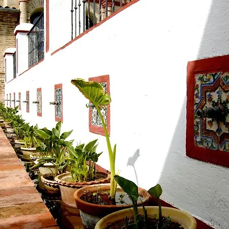 El Palacio De San Benito בית הארחה 4*